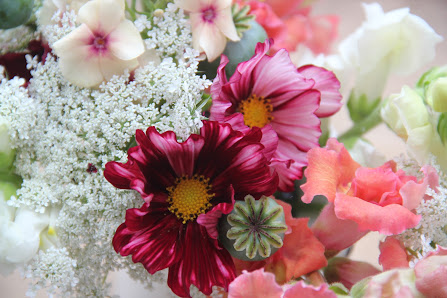 Dahlie und Distel