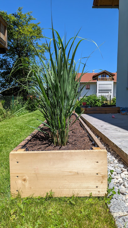 Gräserwelten