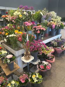 Blumendiele Heemskerk Dinklage