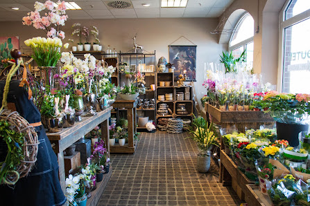 Schouten Blumen & Pflanzen Löningen