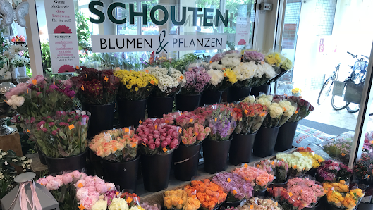 Schouten Blumen & Pflanzen Löningen