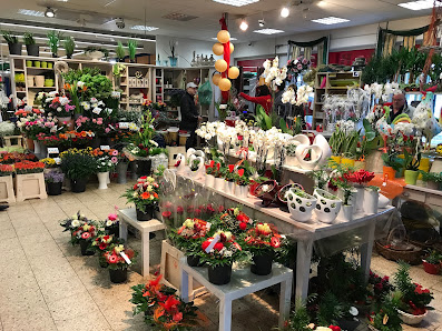 Blumenlogistik von Hammel GmbH