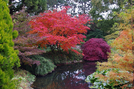 Hortus Schönhoff GmbH
