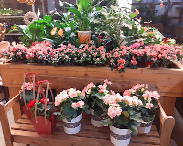 Bloemen & Trends Huisman