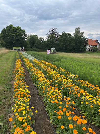 Blumengeschäft