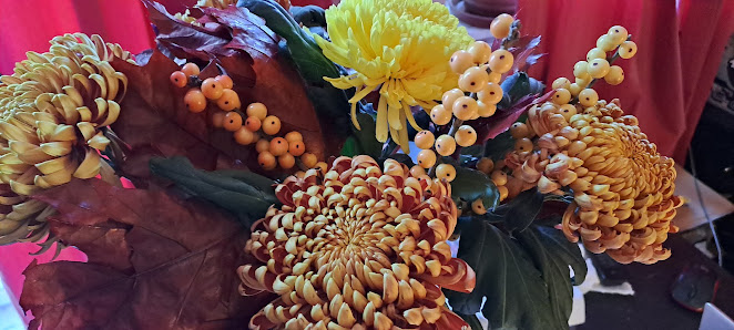 Blumen & Pflanzen