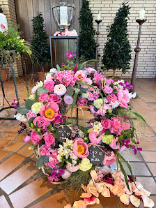 Blumen-Knollmeyer