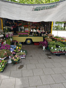 Blumenladen