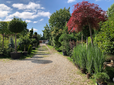 Olschewsky Garten und Landschaftsbau