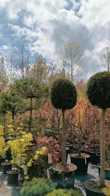 Olschewsky Garten und Landschaftsbau