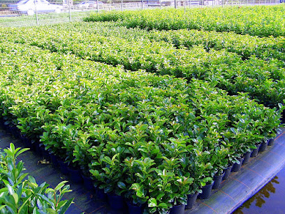 Gartencenter