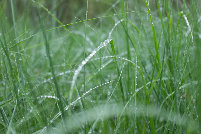 Lachenmayr Gartenbau - Schöne Gärten