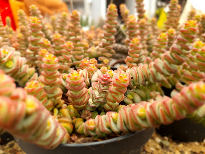 Gartenbau