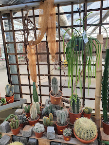 Wiesmoor Blumencenter Wiesmoor