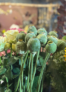 Blumen Sieben