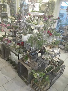 Blumenladen Zaubernuß Inh. Inna Grensemann