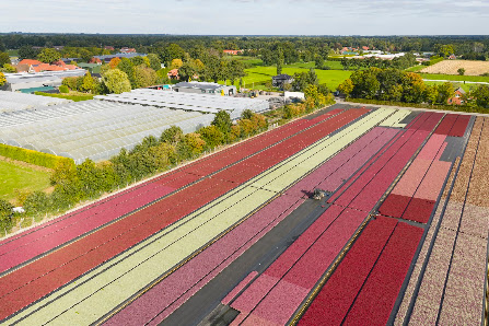 Gartenbau de Vries GmbH