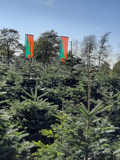 Weihnachtsbäume Bokelmann