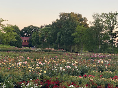 Westerstede