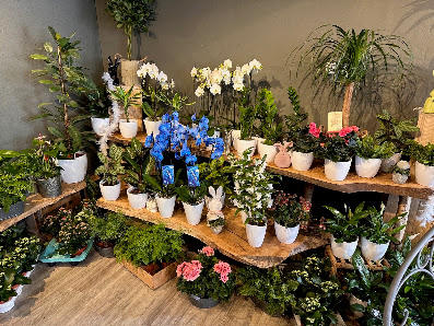 Blumenhaus Antje Bruns (Inh. Stefan Bruns)