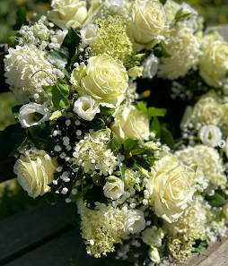 Blumenhaus Gänseblümchen