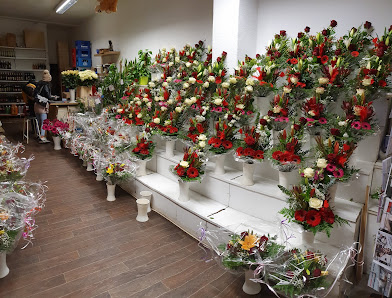 Blumen Dilek