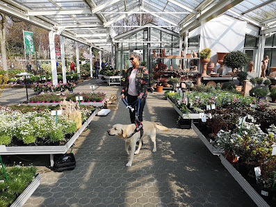 Pflanzen Mohr - Baumschule | Gartencenter | Gartengestaltung
