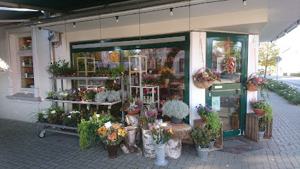 Blumenhaus Heinz Düvier Inh. Annemone Kluge e.K.