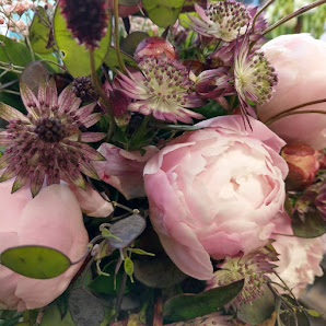 AllesBlüte Blumengeschäft