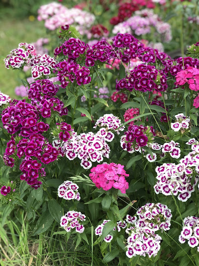 Blumengeschäft