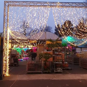 Blumen und pflanzenmarkt Holländer Köln