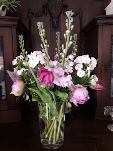 Blatt & Blüte