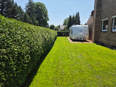 R & I | Alles Rund um Garten | Gartenpflege | Reinigung