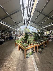 Blumencenter Krüppel Allrath