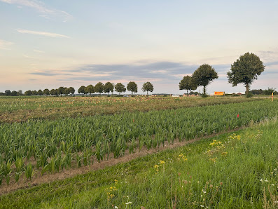 Blumen zum selber schneiden