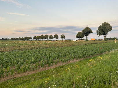 Blumen zum selber schneiden