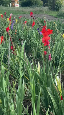Blumen zum selber schneiden