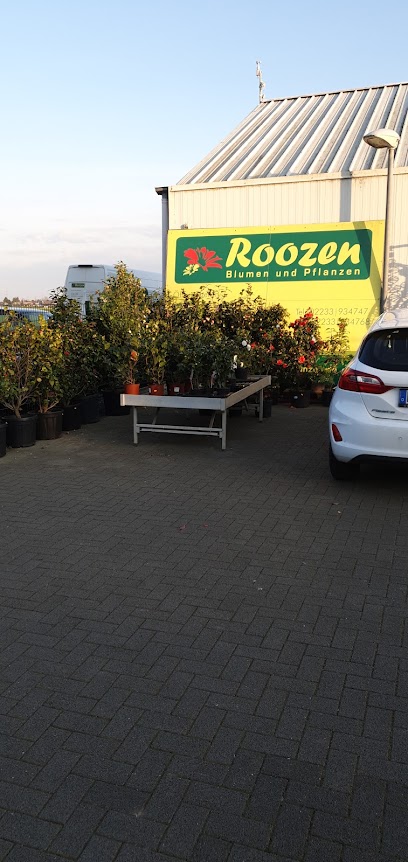 Roozen Blumen und Pflanzen