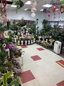 Blumen und Pflanzen Floristik