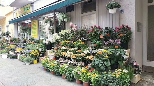 Blumen und Pflanzen Floristik