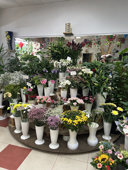 Blumen und Pflanzen Floristik