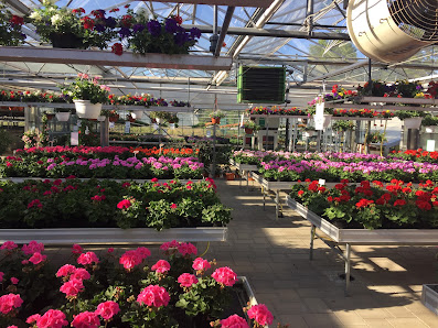 Reineke Blumenhaus & Gartenbau