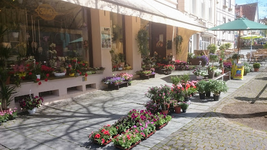 Blumenhandelshaus Marc- Hendrik Schulz Floristmeister