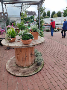 Pflanzenhof-Stadthagen