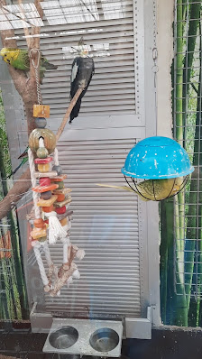 Garten-Center Grünwald Zoo & Co.