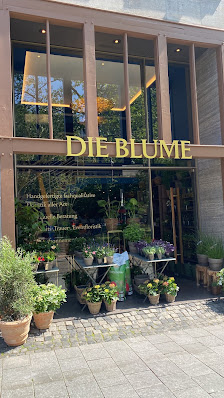 Die Blume