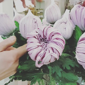 Die Blume
