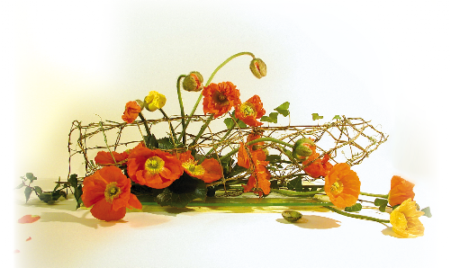 Blumen Marlen Apel