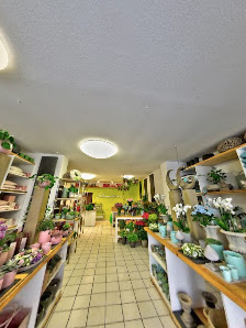 blumenstärke