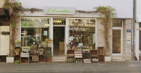 blumenstärke